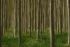 Lesy ČR investovaly do 500 staveb na zadržení vody v krajině 850 milionů korun