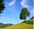 Net Zero Guidelines
